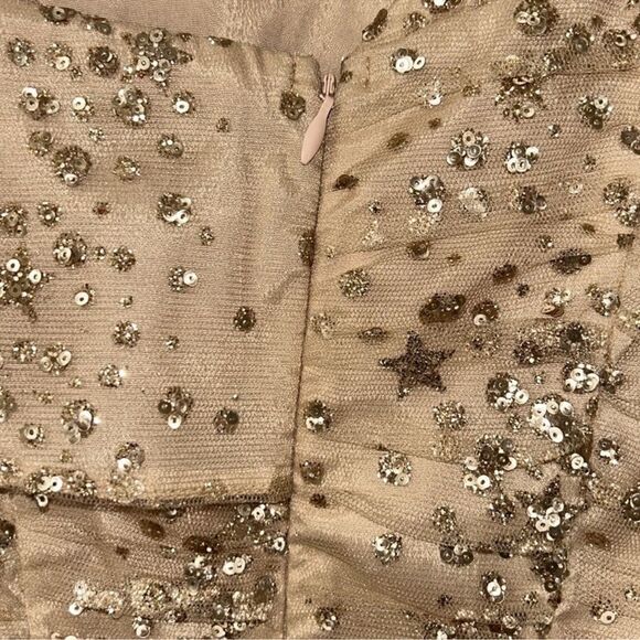 Endless Rose Sequins Mini Gold Nude Mini
Dress(Size XS) - Picture 9 of 9